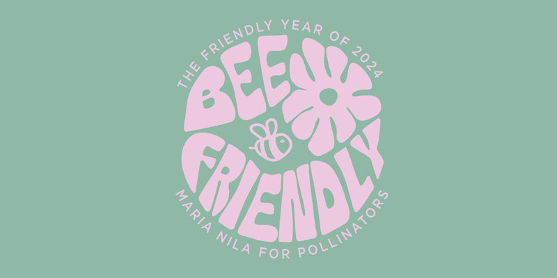 The Friendly Year 2024